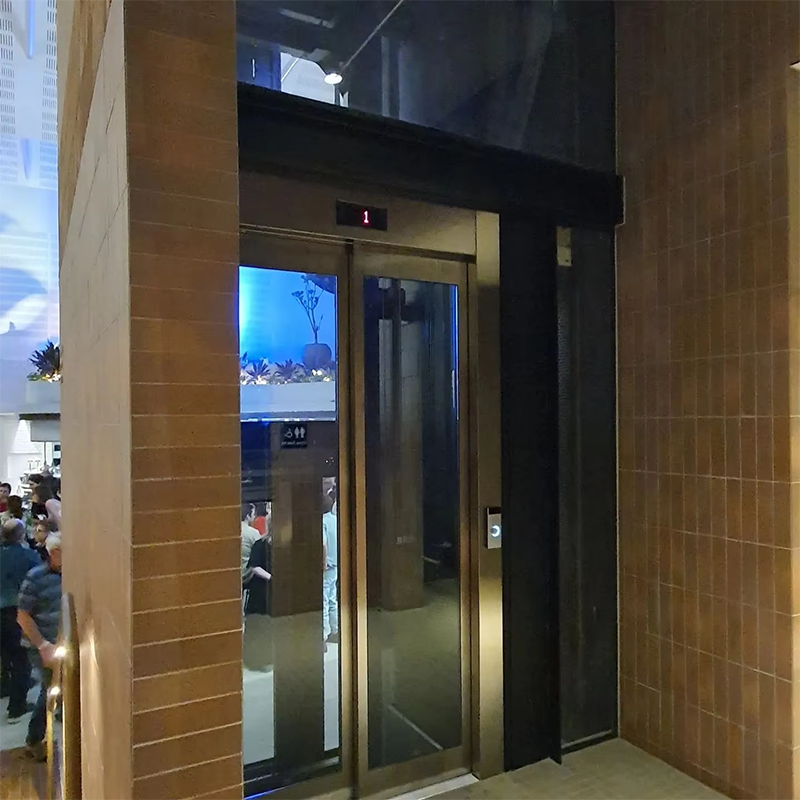 VTEP108 Elevadores rychlé a plynulé osobní výtahy pro komerční nemovitosti Rychlý servis