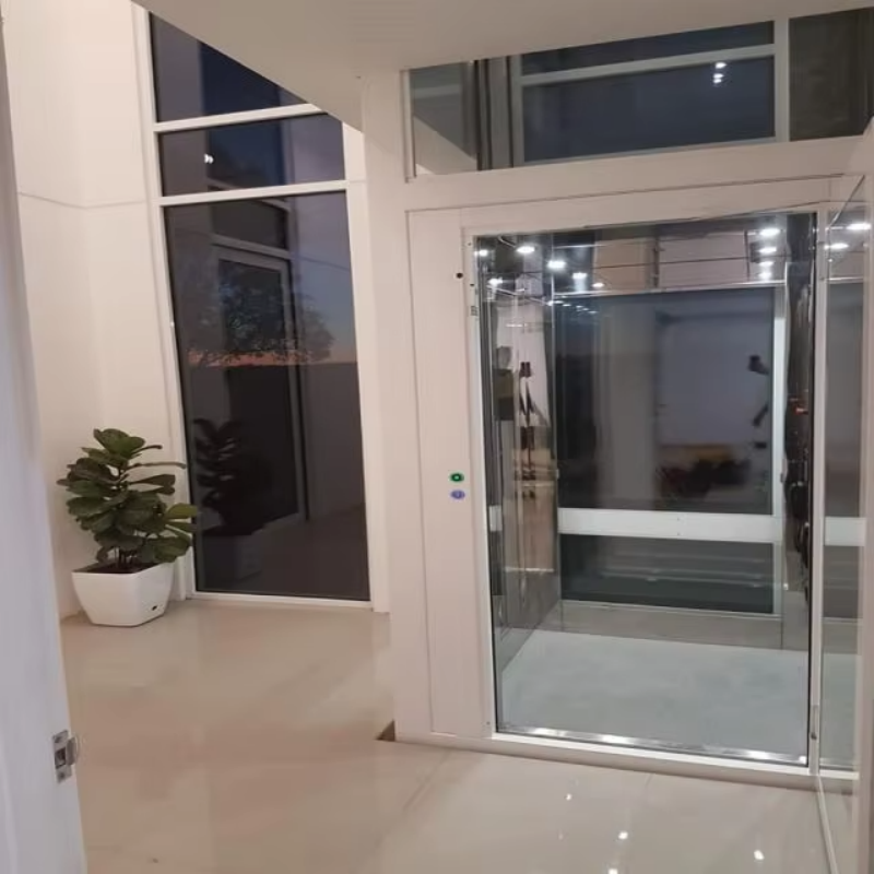 VTEV109 Ascensores Elevadores Stylový skleněný vilový výtah pro soukromý duplexní dům