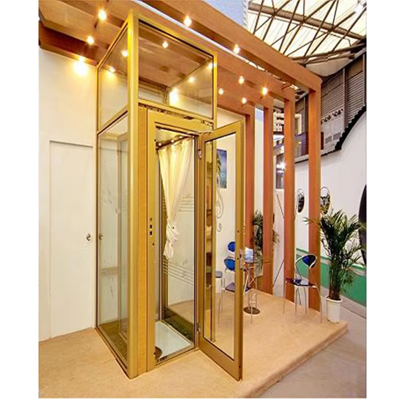 VTEV101 Ascensores Elevadores Krásný designový vilový výtah pro moderní styl dekorace