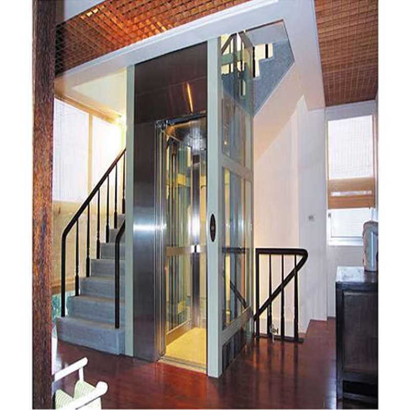 VTEV103 Ascensores Elevadores Smart Control Villa Lift pro pohodlnou přepravu domů