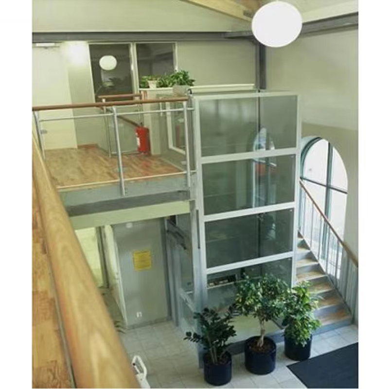 VTEV103 Ascensores Elevadores Smart Control Villa Lift pro pohodlnou přepravu domů
