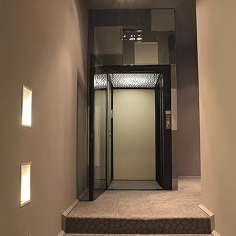 VTEV104 Ascensores Elevadores Luxusní vilový výtah z nerezové oceli pro rodinné použití