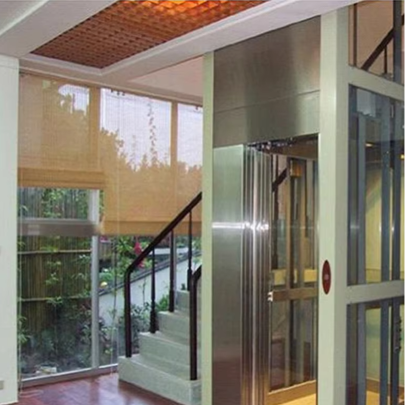 VTEV105 Ascensores Elevadores Přizpůsobený kabinový výtah pro výzdobu interiéru