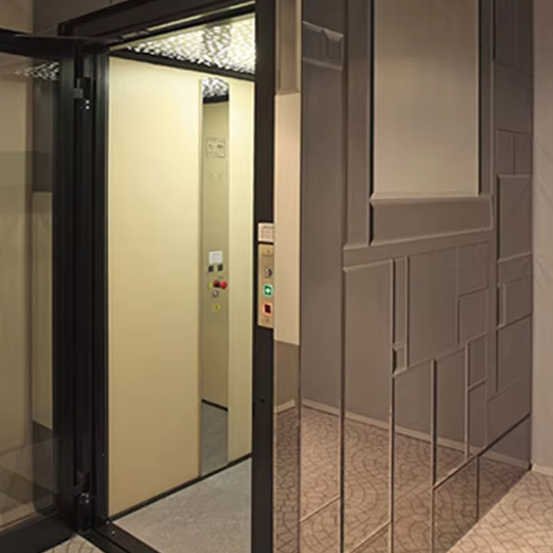VTEV105 Ascensores Elevadores Přizpůsobený kabinový výtah pro výzdobu interiéru