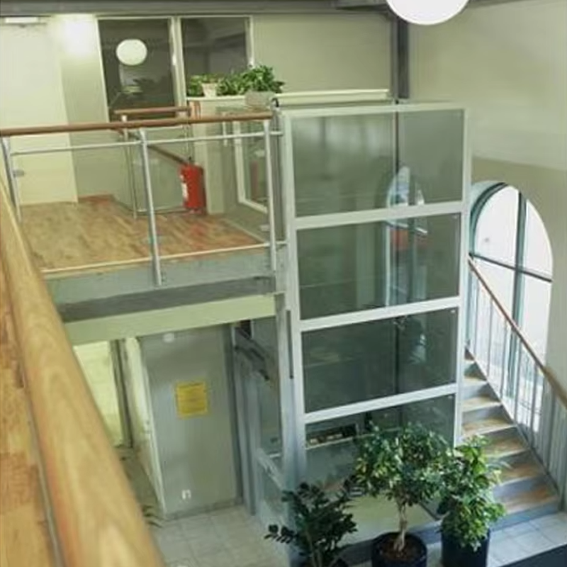 VTEV105 Ascensores Elevadores Přizpůsobený kabinový výtah pro výzdobu interiéru