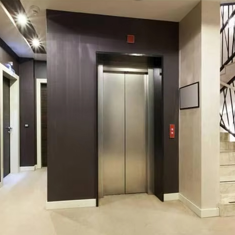VTEP124 Čínská značka moderního výrobce osobního výtahu Vysoce výkonný výtah Hotel Použití Podlaha z PVC Nerezová ocel AC pohon