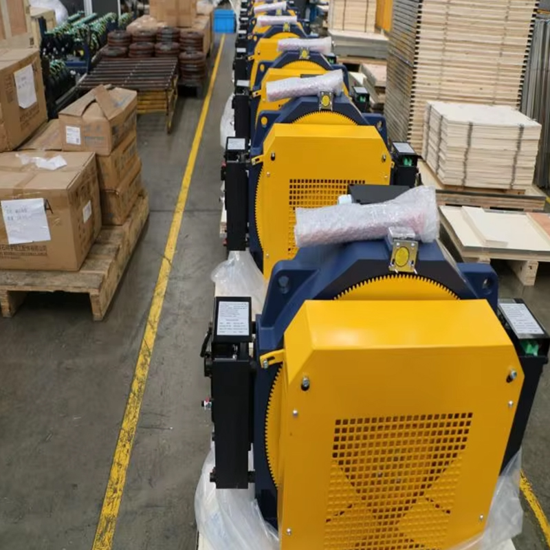 Bezpřevodový trakční stroj VTSP252 Montanari MCG200 zvedací motor 800-1350KGS Motor Motor